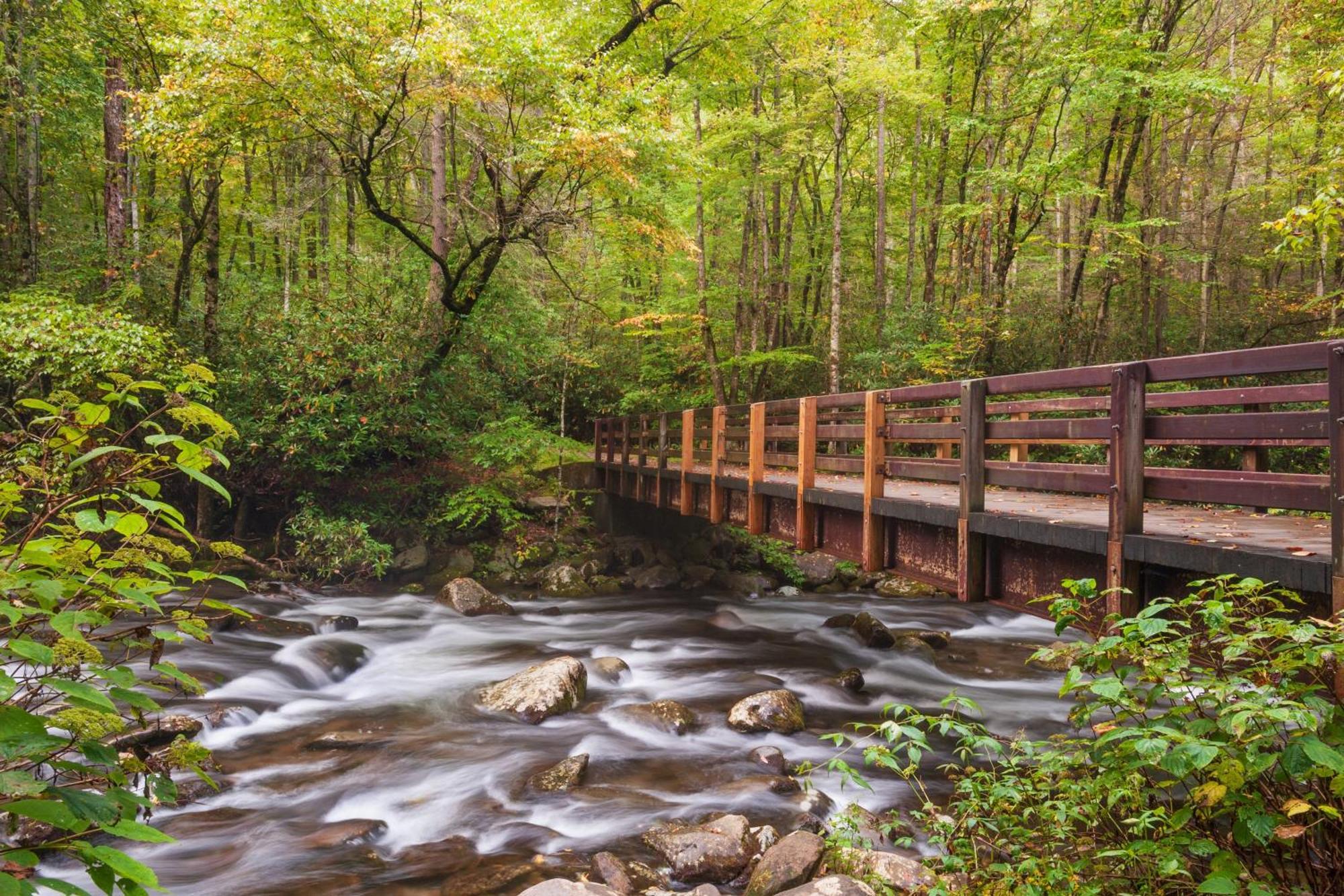River Breeze, Wifi, 1089 Free Tickets Each Paid Day, Dollywood And More Pigeon Forge Extérieur photo